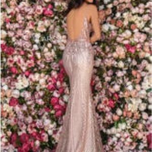 Rose Gold Shimmering Dresss